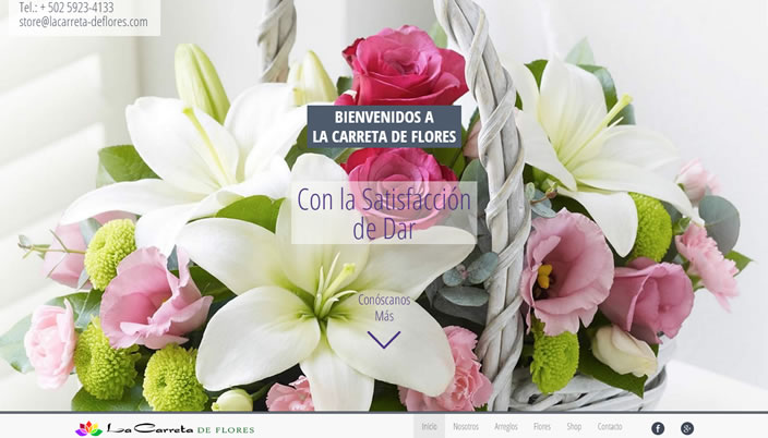 Diseño web para La Carreta de Flores | First Idea Studio